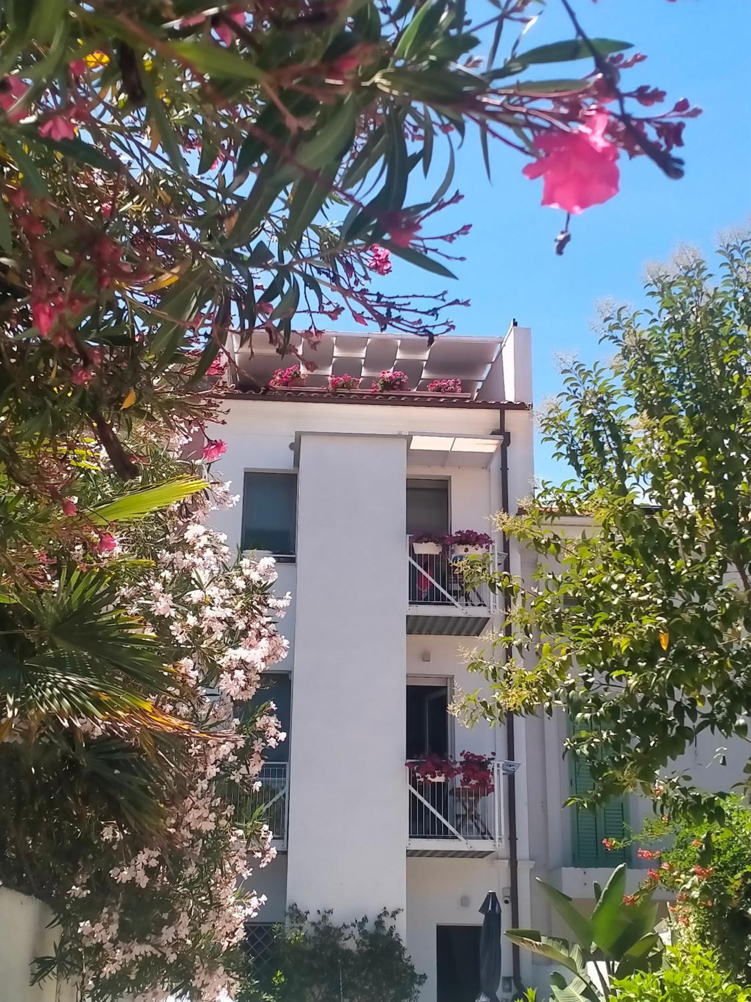 B&B Previsto Sole Civitanova Marche Zewnętrze zdjęcie